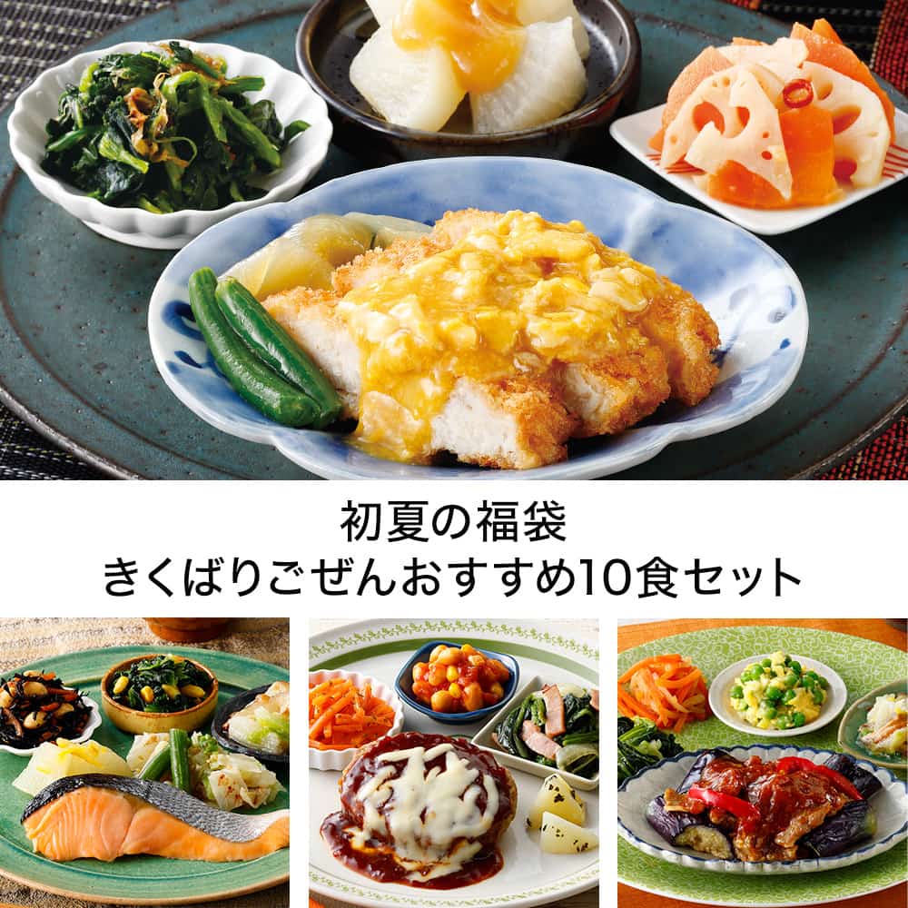 初夏の福袋 きくばりごぜんおすすめ10食セット・2025年6月
