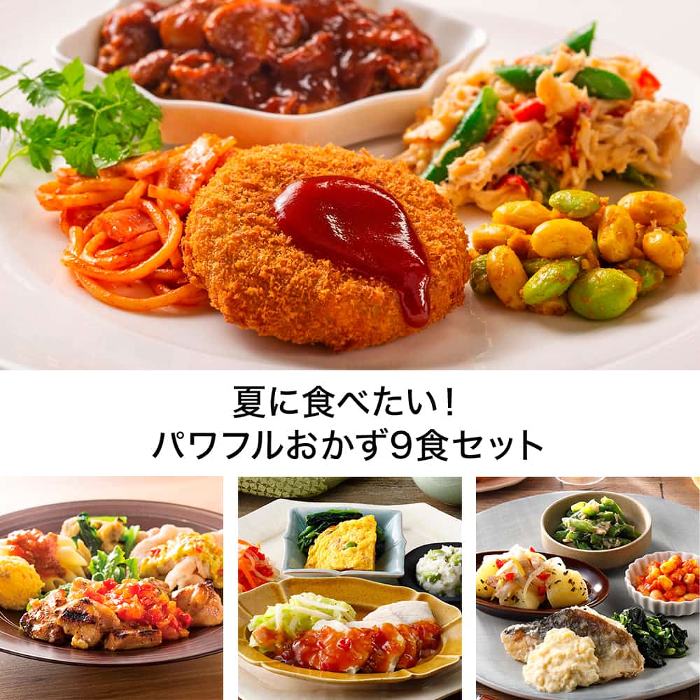 夏に食べたい!パワフルおかず9食セット・2025年7月